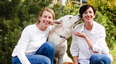 terapeutki w asyście psów