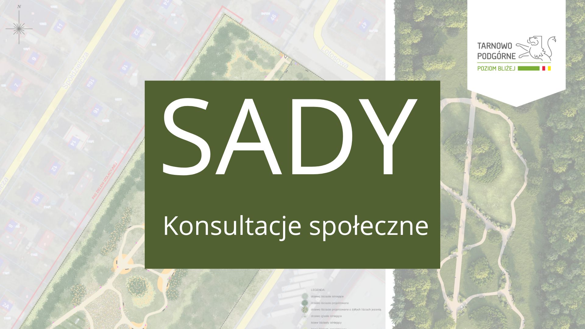 grafika Sady konsultacje społeczne